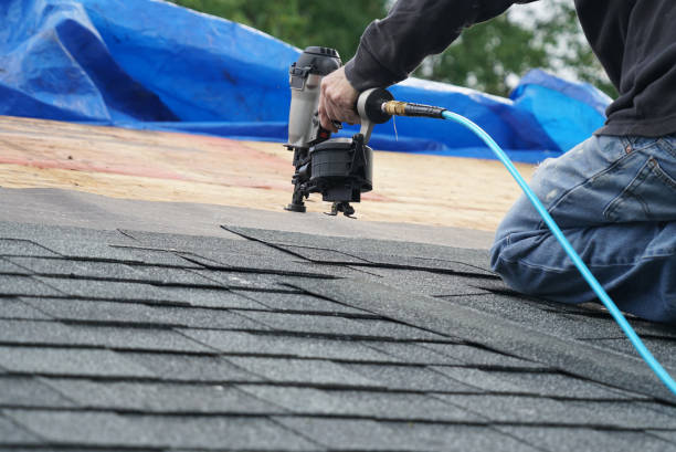 Best Metal Roofing Contractor  in Sinton, TX